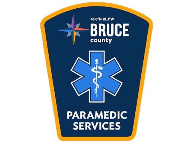 Paramedic Services Logo